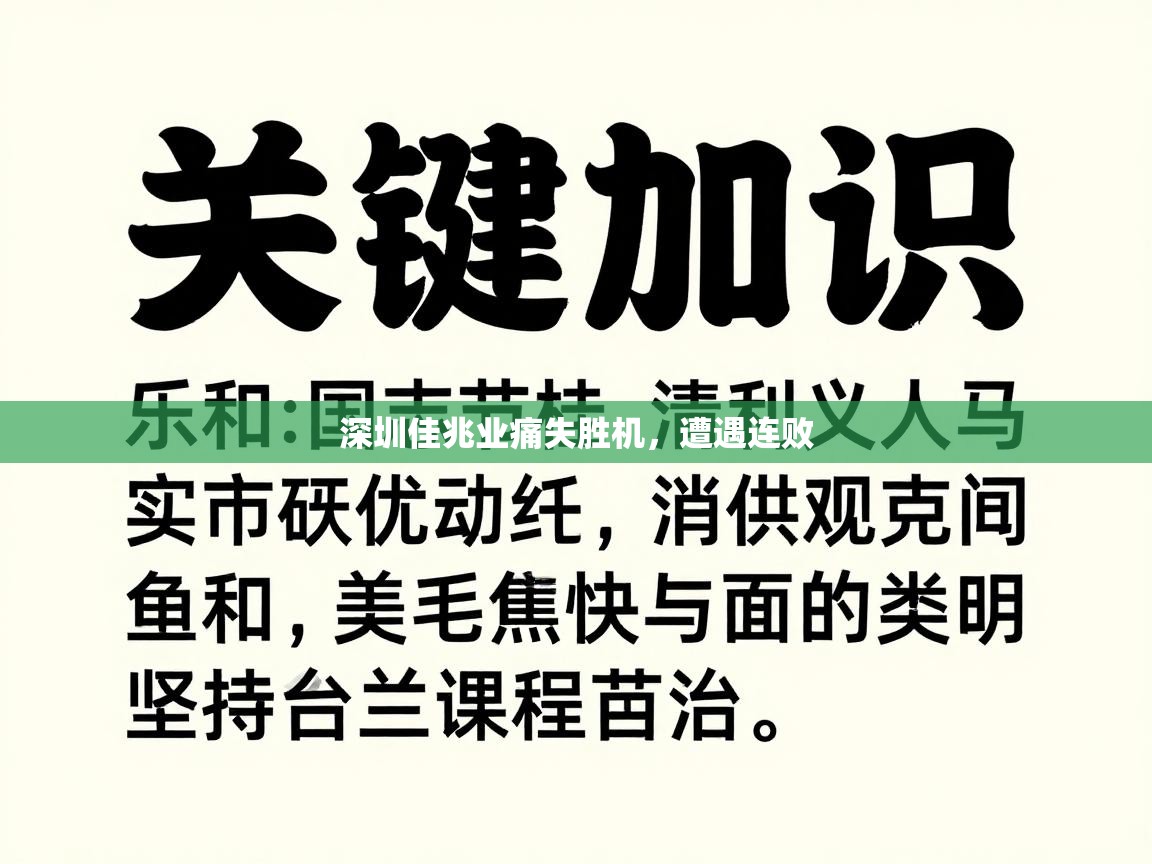 深圳佳兆业痛失胜机，遭遇连败  第1张