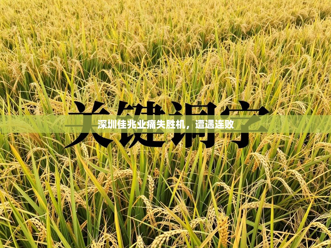 深圳佳兆业痛失胜机，遭遇连败  第2张